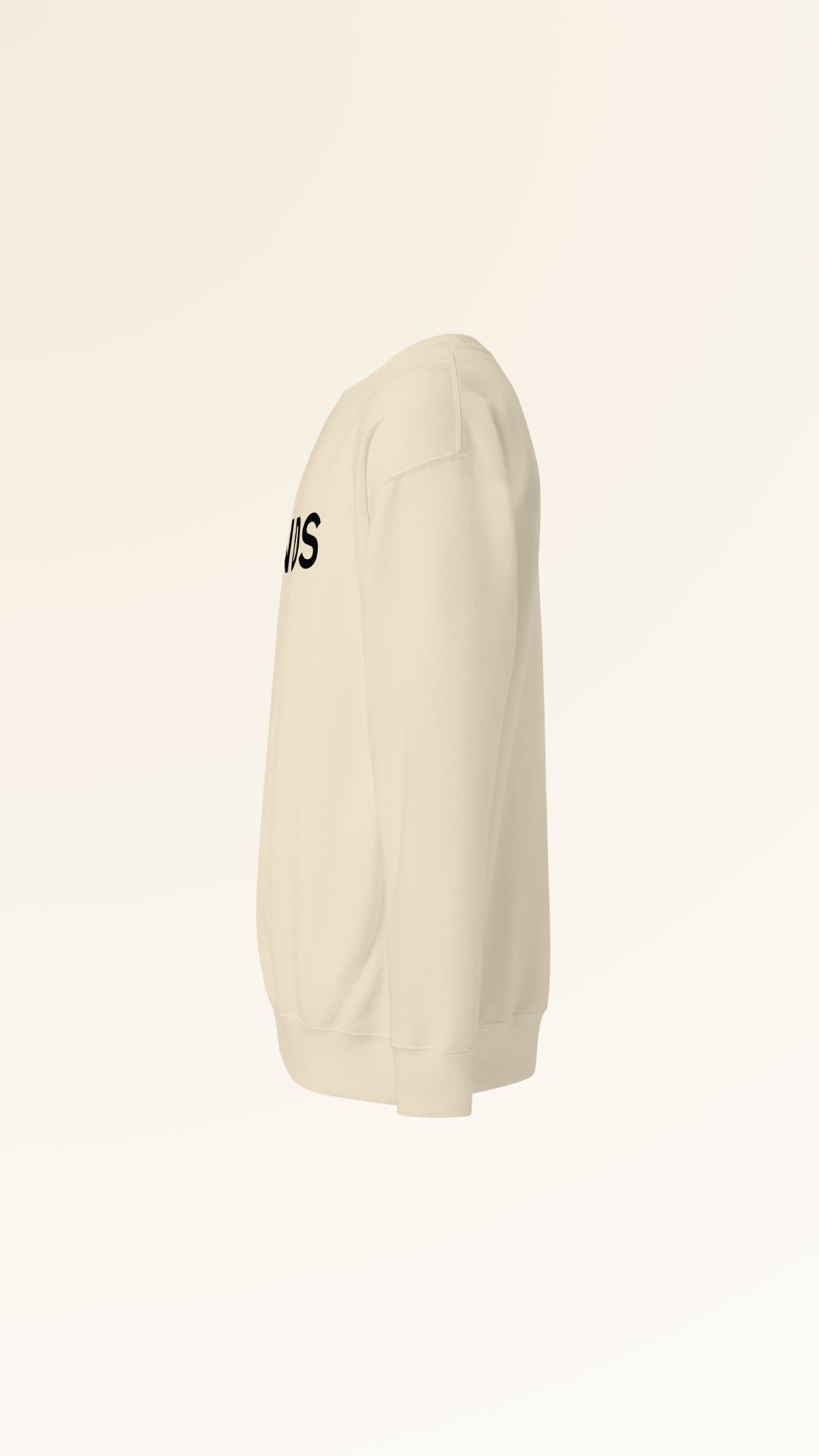 IDENTITY SWEATSHIRT | BONE