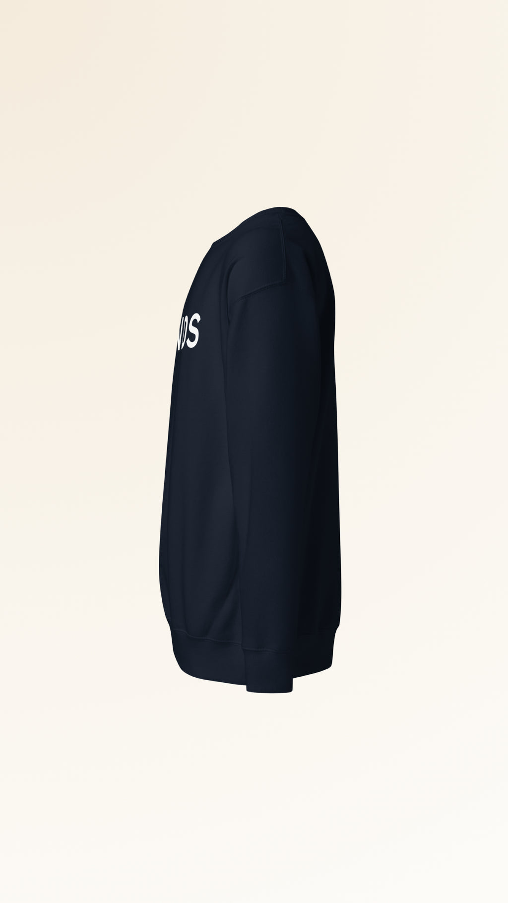IDENTITY SWEATSHIRT | NAVY BLAZER