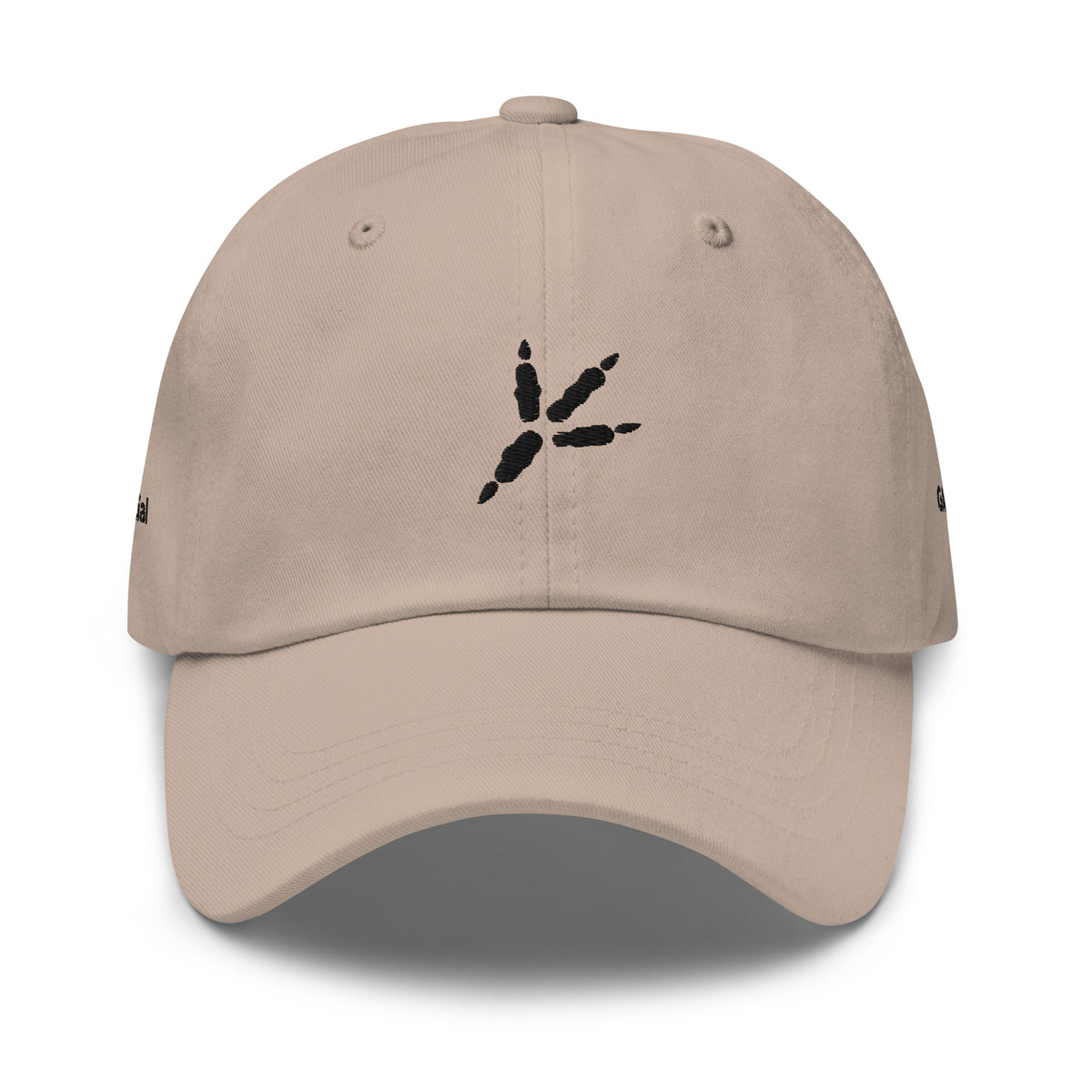 Classic Embroidered Standard Hat